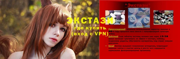 ПСИЛОЦИБИНОВЫЕ ГРИБЫ Вязники