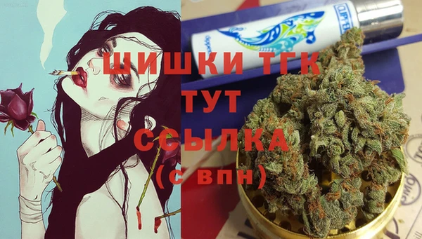 ПСИЛОЦИБИНОВЫЕ ГРИБЫ Вязники
